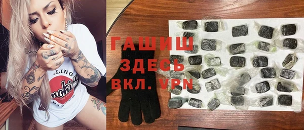 гашик Алексин