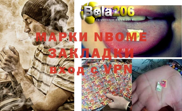 гашик Алексин