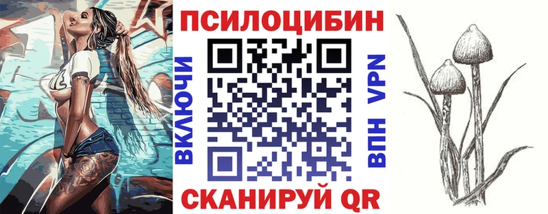 Псилоцибиновые грибы Psilocybe  купить  цена  Сольвычегодск 